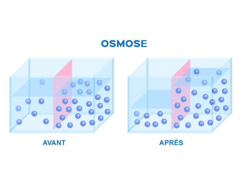 schéma énergie osmotique