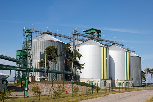 production biocarburant