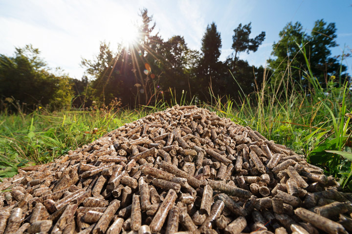 Présentation, avantages et inconvénients de l’énergie biomasse