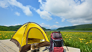 Éco-camping : découverte des campings qui économisent la planète... et l’énergie