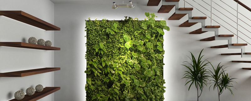 Mur végétal intérieur : beau mais aussi isolant et économe en énergie